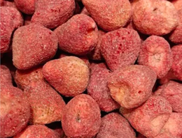 Dried Food & Powder